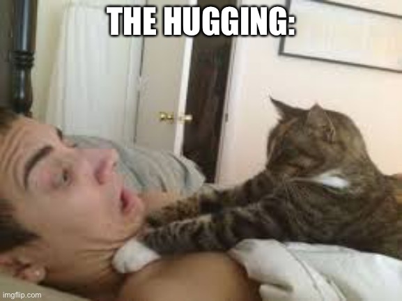 Cat Strangler | THE HUGGING: | image tagged in cat strangler | made w/ Imgflip meme maker