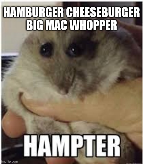 Hamburger cheeseburger big mac whopper | HAMBURGER CHEESEBURGER BIG MAC WHOPPER | image tagged in hamburger,cheeseburger,big mac,whopper,hampter,funny memes | made w/ Imgflip meme maker