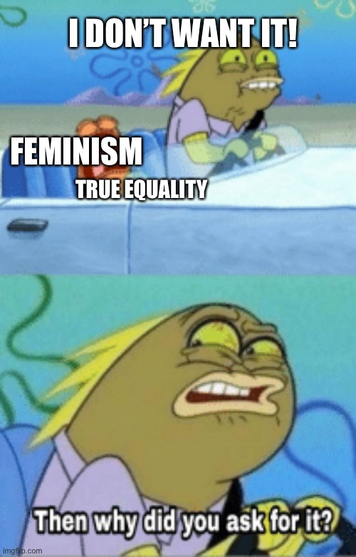 Oof feminism tho be salty nowadays | I DON’T WANT IT! FEMINISM; TRUE EQUALITY | image tagged in then why did you ask for it | made w/ Imgflip meme maker