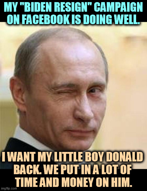 Russian government hackers are working overtime on this one. | MY "BIDEN RESIGN" CAMPAIGN ON FACEBOOK IS DOING WELL. I WANT MY LITTLE BOY DONALD 
BACK. WE PUT IN A LOT OF 
TIME AND MONEY ON HIM. | image tagged in putin winking,biden,hatred,russian,propaganda | made w/ Imgflip meme maker