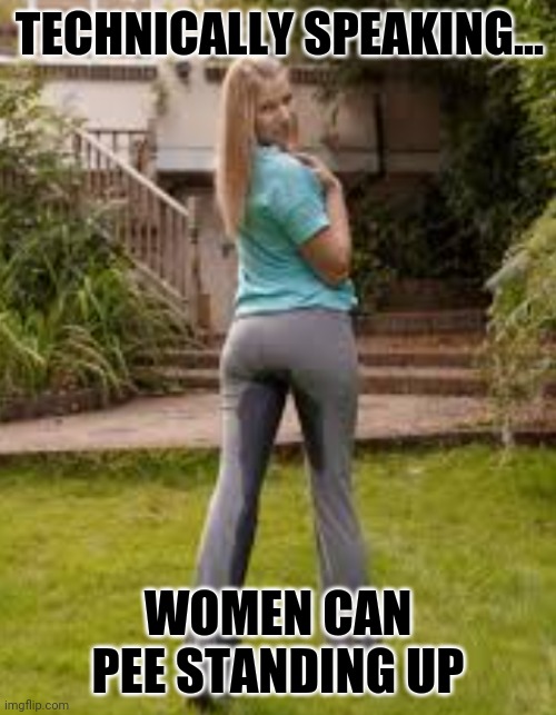 Technically | TECHNICALLY SPEAKING... WOMEN CAN PEE STANDING UP | image tagged in speed dating,pee,outstanding move,piss | made w/ Imgflip meme maker