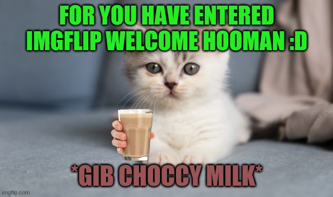 Welcome To ImgFlip Hooman :D | FOR YOU HAVE ENTERED IMGFLIP WELCOME HOOMAN :D; *GIB CHOCCY MILK* | image tagged in the kitten has greeted you to imgflip d | made w/ Imgflip meme maker