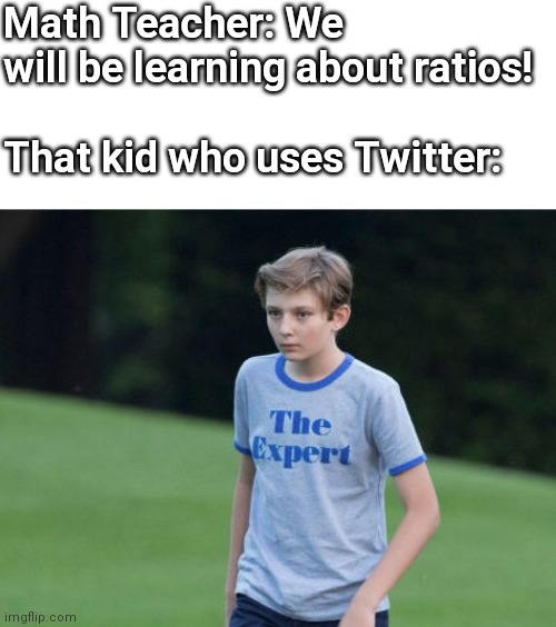 Ratio | Math Teacher: We will be learning about ratios!
 
That kid who uses Twitter: | image tagged in the expert,ratio,memes | made w/ Imgflip meme maker