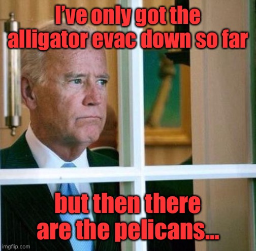 Sad Joe Biden | I’ve only got the alligator evac down so far but then there are the pelicans… | image tagged in sad joe biden | made w/ Imgflip meme maker