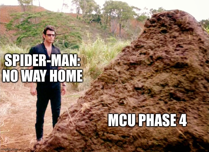 Will SM3 be the only good movie from Phase 4? | SPIDER-MAN: NO WAY HOME; MCU PHASE 4 | image tagged in memes poop jurassic park | made w/ Imgflip meme maker