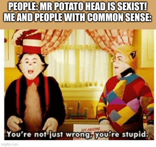 Best thing from that movie | PEOPLE: MR POTATO HEAD IS SEXIST!
ME AND PEOPLE WITH COMMON SENSE: | image tagged in you're not just wrong your stupid | made w/ Imgflip meme maker