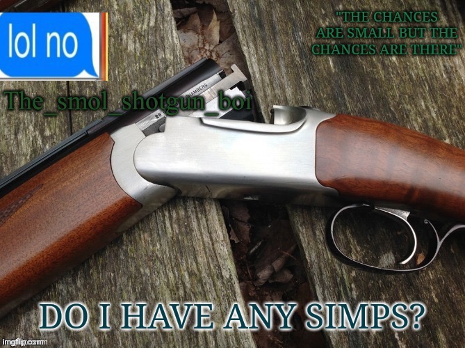 ? | DO I HAVE ANY SIMPS? | image tagged in smol shotgun boi temp | made w/ Imgflip meme maker