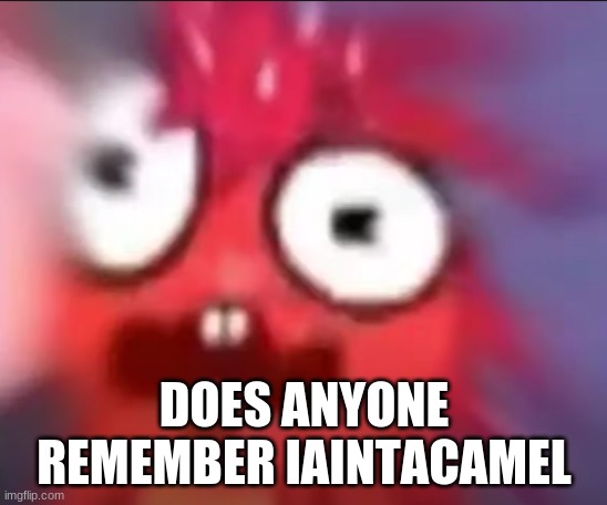 i think that was their user | DOES ANYONE REMEMBER IAINTACAMEL | image tagged in flaky blur | made w/ Imgflip meme maker