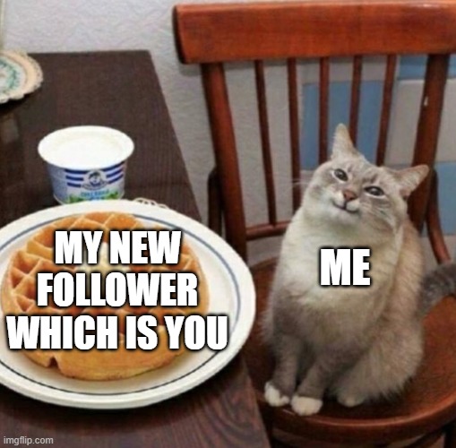 Cat likes their waffle | MY NEW FOLLOWER WHICH IS YOU ME | image tagged in cat likes their waffle | made w/ Imgflip meme maker