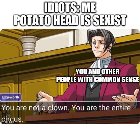 You are not a clown. You are the entire circus. | IDIOTS: ME POTATO HEAD IS SEXIST YOU AND OTHER PEOPLE WITH COMMON SENSE | image tagged in you are not a clown you are the entire circus | made w/ Imgflip meme maker