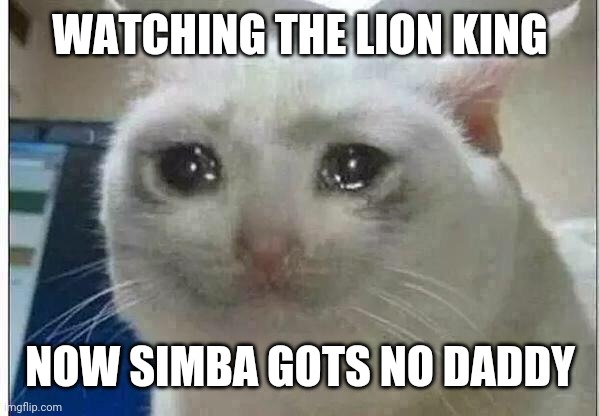 crying cat | WATCHING THE LION KING; NOW SIMBA GOTS NO DADDY | image tagged in crying cat | made w/ Imgflip meme maker