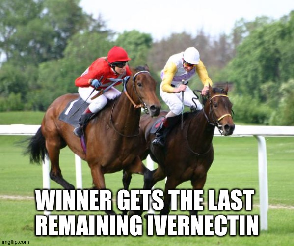 two horses racing | WINNER GETS THE LAST 
REMAINING IVERNECTIN | image tagged in two horses racing | made w/ Imgflip meme maker