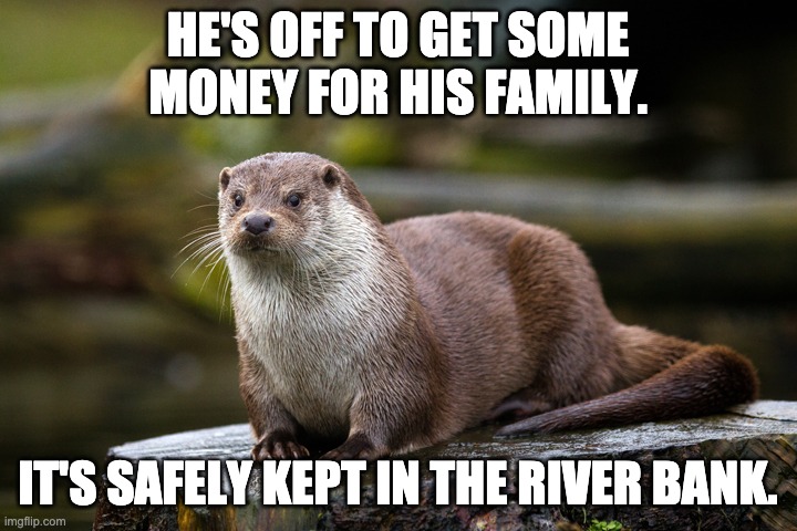 Otter | HE'S OFF TO GET SOME MONEY FOR HIS FAMILY. IT'S SAFELY KEPT IN THE RIVER BANK. | image tagged in otter | made w/ Imgflip meme maker