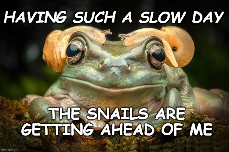 Slow Day | HAVING SUCH A SLOW DAY; THE SNAILS ARE GETTING AHEAD OF ME | image tagged in humor,slowpoke,satire | made w/ Imgflip meme maker