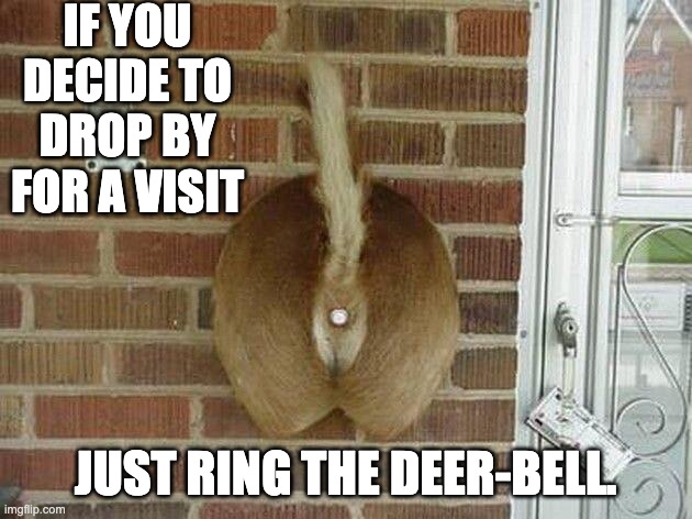 Ding-dong | IF YOU DECIDE TO DROP BY FOR A VISIT; JUST RING THE DEER-BELL. | image tagged in bad pun | made w/ Imgflip meme maker