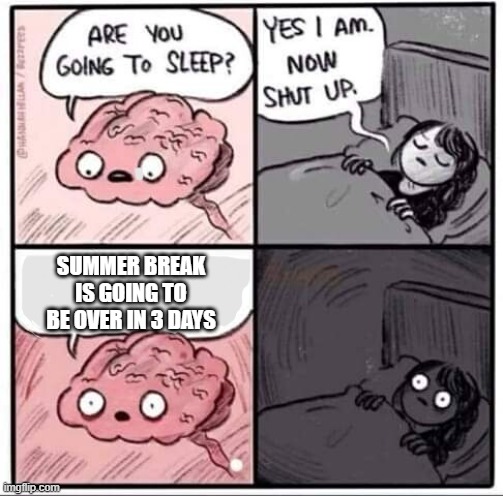 summer break end | SUMMER BREAK IS GOING TO BE OVER IN 3 DAYS | image tagged in are you going to sleep | made w/ Imgflip meme maker
