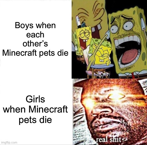 Girl vs boys reactions in Minecraft | Boys when each other’s Minecraft pets die; Girls when Minecraft pets die | image tagged in minecraft | made w/ Imgflip meme maker