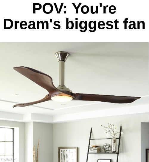 dream fan | POV: You're Dream's biggest fan | image tagged in dream,memes | made w/ Imgflip meme maker