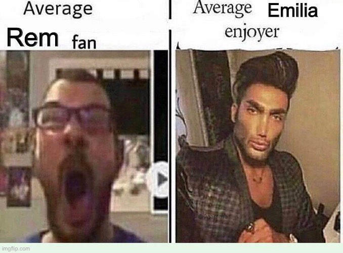 It’s so true | Emilia; Rem | image tagged in average blank fan vs average blank enjoyer,re zero | made w/ Imgflip meme maker