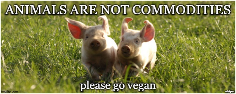 Not Commodities |  minkpen | image tagged in vegan,bacon,beef,lamb,dairy,leather | made w/ Imgflip meme maker