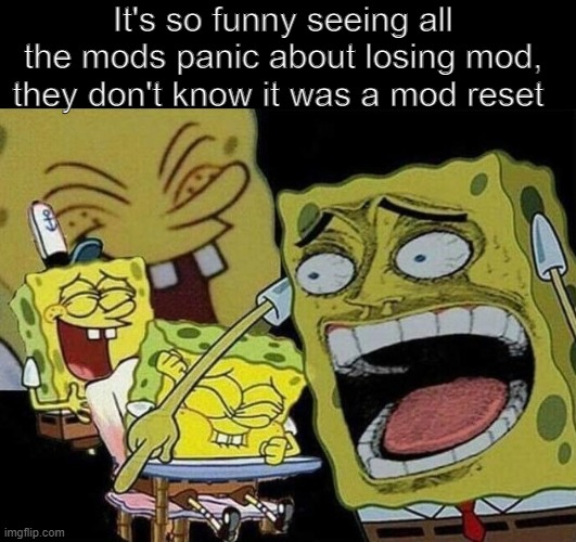 Spongebob laughing Hysterically | It's so funny seeing all the mods panic about losing mod, they don't know it was a mod reset | image tagged in spongebob laughing hysterically | made w/ Imgflip meme maker
