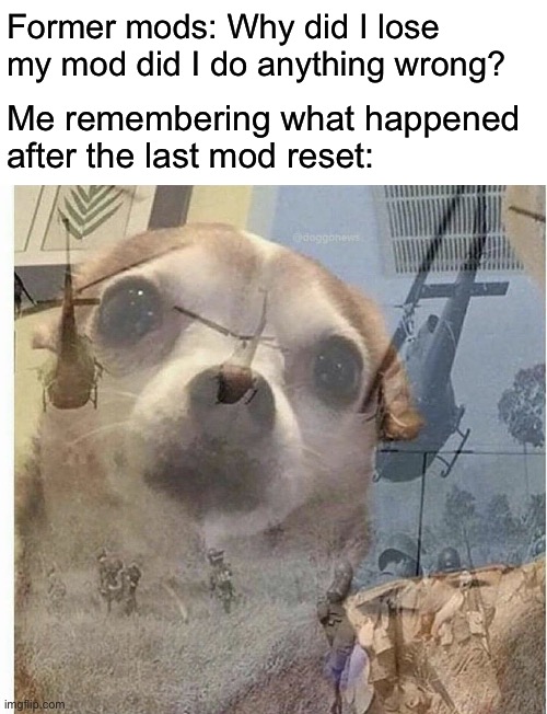 It’s kinda annoying imo | Former mods: Why did I lose my mod did I do anything wrong? Me remembering what happened after the last mod reset: | image tagged in ptsd chihuahua | made w/ Imgflip meme maker