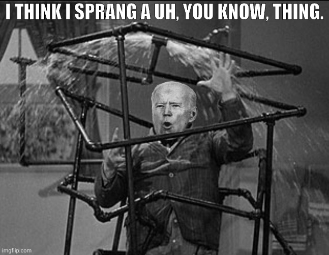I THINK I SPRANG A UH, YOU KNOW, THING. | made w/ Imgflip meme maker
