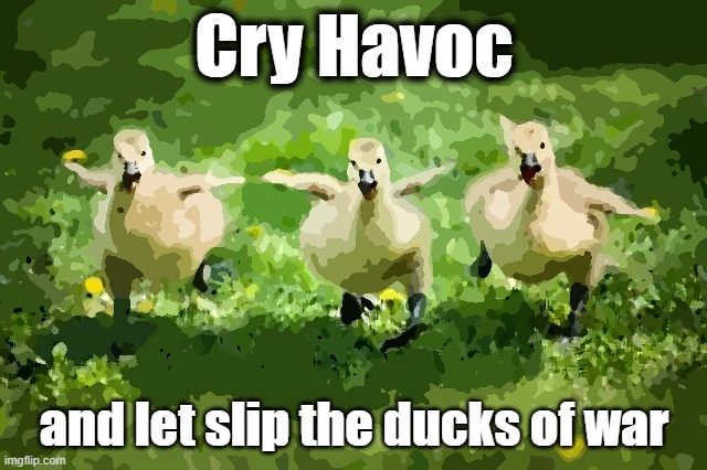 Ducks of war | Cry Havoc; and let slip the ducks of war | image tagged in angry duck | made w/ Imgflip meme maker