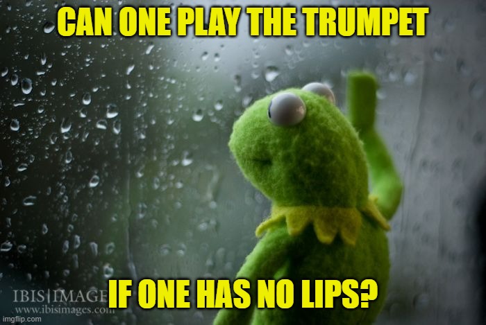 kermit window | CAN ONE PLAY THE TRUMPET IF ONE HAS NO LIPS? | image tagged in kermit window | made w/ Imgflip meme maker
