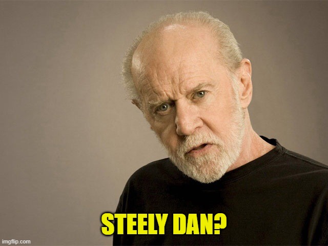 George Carlin | STEELY DAN? | image tagged in george carlin | made w/ Imgflip meme maker