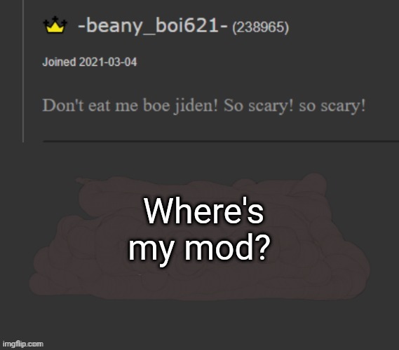 beany | Where's my mod? | image tagged in beany | made w/ Imgflip meme maker