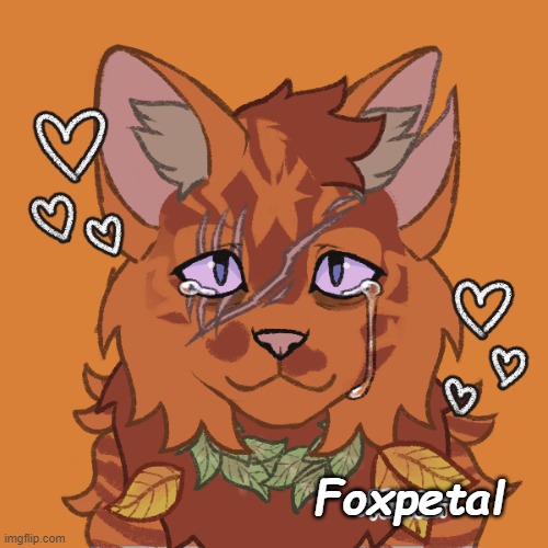 Foxpetal | made w/ Imgflip meme maker