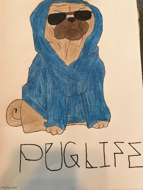 Idk how’s it look? | image tagged in doge,pug,drawing | made w/ Imgflip meme maker