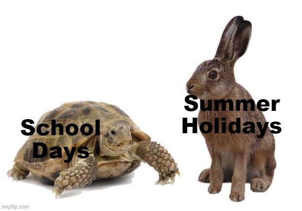 Why so fast tho? | Summer Holidays; School Days | image tagged in tortoise hare,school,summer,funny,memes | made w/ Imgflip meme maker