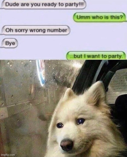 Sad dogo | image tagged in sad dog | made w/ Imgflip meme maker