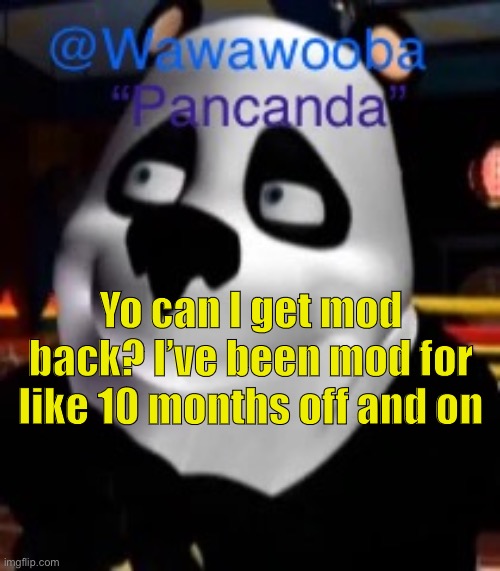 I’ve never had mod removed other than resets either | Yo can I get mod back? I’ve been mod for like 10 months off and on | image tagged in wawa s pancanda template | made w/ Imgflip meme maker