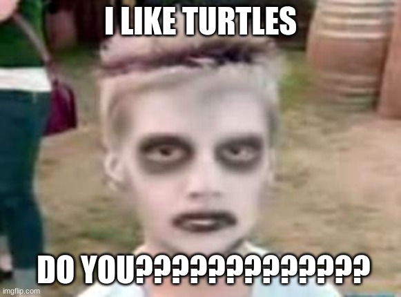 I like turtles | I LIKE TURTLES; DO YOU????????????? | image tagged in i like turtles | made w/ Imgflip meme maker