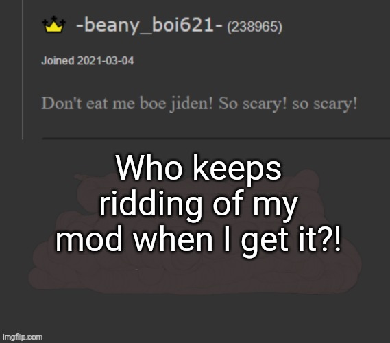 beany | Who keeps ridding of my mod when I get it?! | image tagged in beany | made w/ Imgflip meme maker