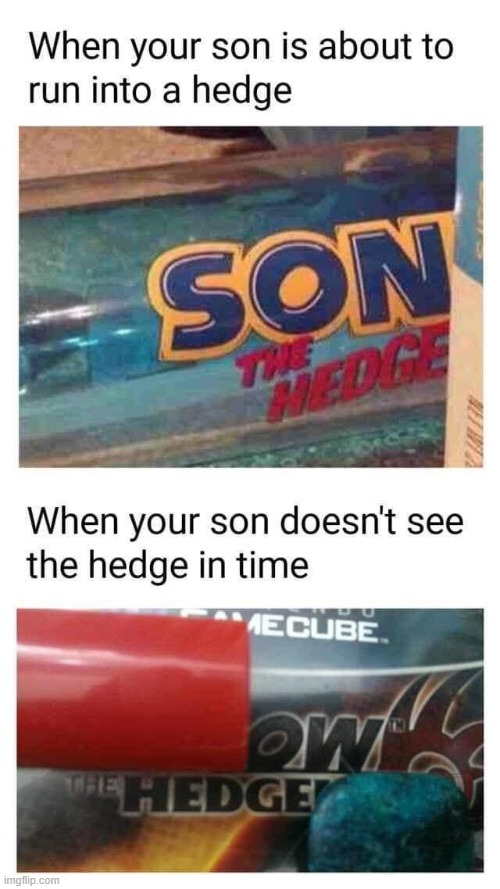hedge | made w/ Imgflip meme maker