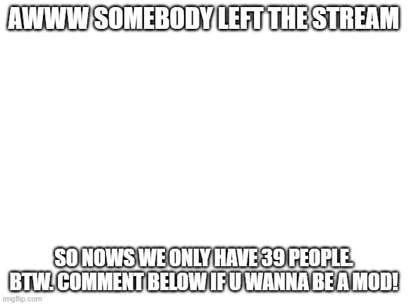 Blank White Template | AWWW SOMEBODY LEFT THE STREAM; SO NOWS WE ONLY HAVE 39 PEOPLE. BTW. COMMENT BELOW IF U WANNA BE A MOD! | image tagged in blank white template | made w/ Imgflip meme maker