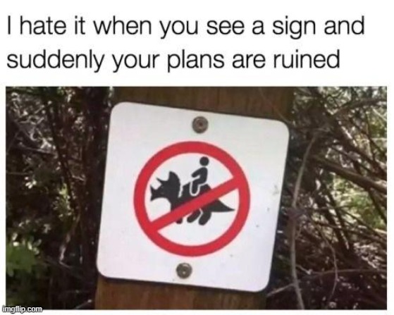 my plans | made w/ Imgflip meme maker