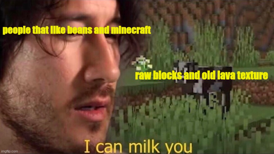 I can milk you | people that like beans and minecraft; raw blocks and old lava texture | image tagged in i can milk you | made w/ Imgflip meme maker