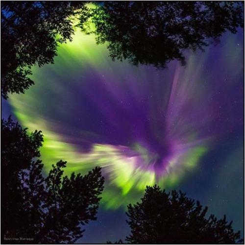 Polar Lights - Murmansk Region - Russia | image tagged in amazing,polar,lights | made w/ Imgflip meme maker