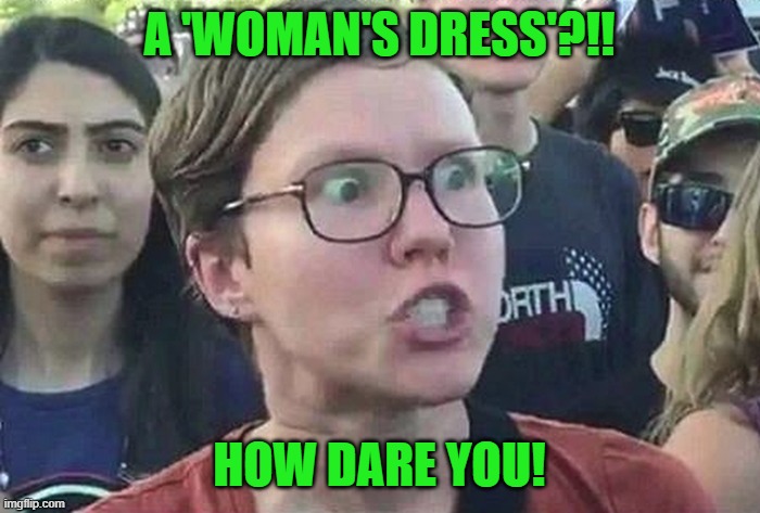 Triggered Liberal | A 'WOMAN'S DRESS'?!! HOW DARE YOU! | image tagged in triggered liberal | made w/ Imgflip meme maker