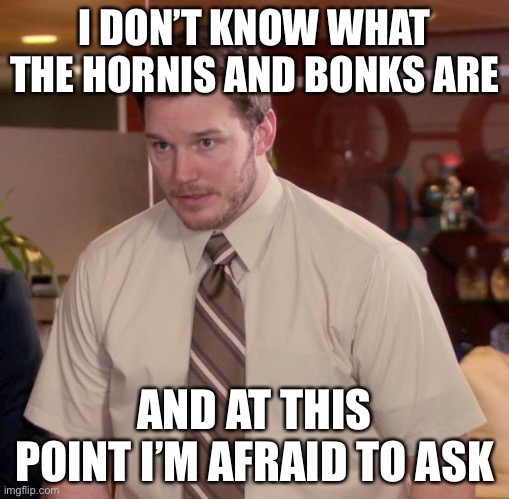 Afraid To Ask Andy | I DON’T KNOW WHAT THE HORNIS AND BONKS ARE; AND AT THIS POINT I’M AFRAID TO ASK | image tagged in memes,afraid to ask andy,hornis,bonks | made w/ Imgflip meme maker