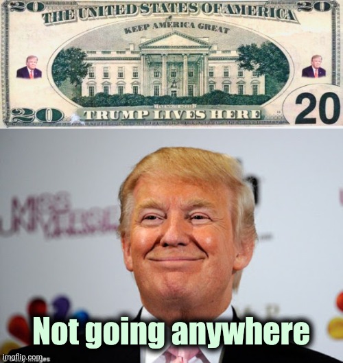 Not sorry about your TDS | Not going anywhere | image tagged in trump lives here 20 dollar bill,donald trump approves,trump derangement syndrome,in your head,24/7 | made w/ Imgflip meme maker