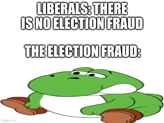 Blank White Template | LIBERALS: THERE IS NO ELECTION FRAUD; THE ELECTION FRAUD: | image tagged in blank white template | made w/ Imgflip meme maker