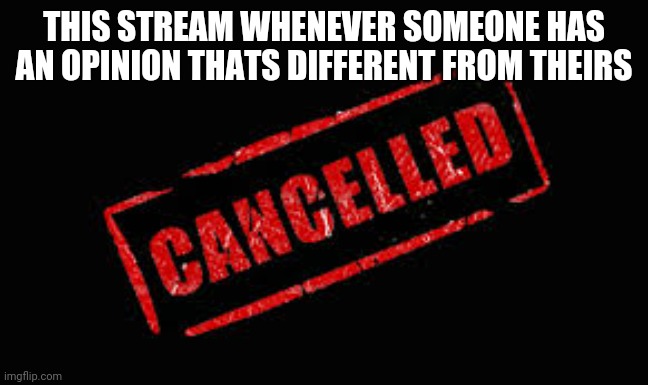 ThE pOlItIcS sTrEaM iS bIaSeD | THIS STREAM WHENEVER SOMEONE HAS AN OPINION THATS DIFFERENT FROM THEIRS | image tagged in cancelled | made w/ Imgflip meme maker