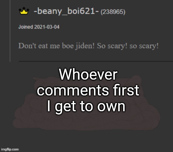 beany | Whoever comments first I get to own | image tagged in beany | made w/ Imgflip meme maker