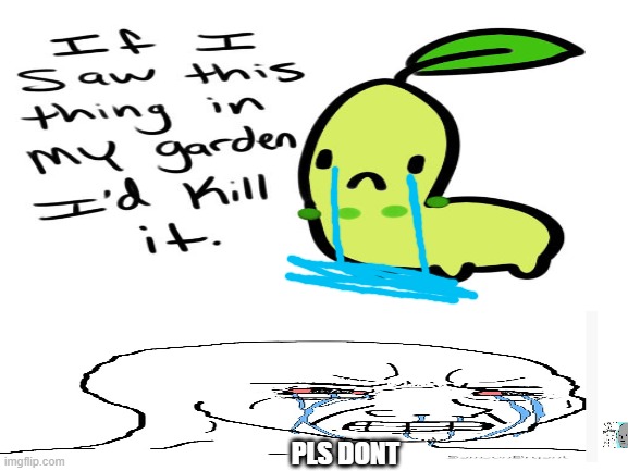 why do they hav to do this | PLS DONT | image tagged in oh wow are you actually reading these tags,stop reading the tags,chikorita,noooooooooooooooooooooooo | made w/ Imgflip meme maker